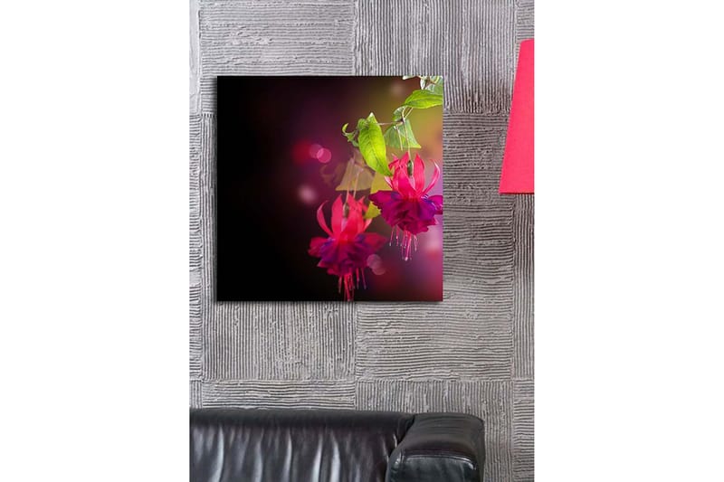 Canvastavla 45x45 cm - Färgrik hängande fuchsia med gröna blad - Rosa / Lila / Grön - Inredning - Tavlor & posters - Canvastavla