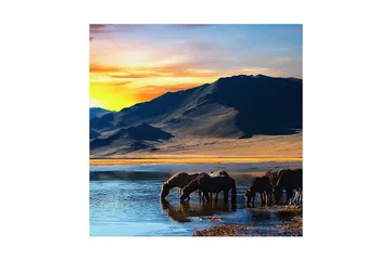 Canvastavla 45x45 cm - Hästar som dricker vid en spegelblanka sjö i en vacker bergslandskap - Blå / Orange / Brun - Inredning - Tavlor & posters - Canvastavla
