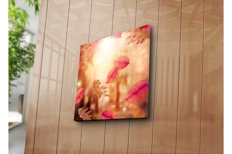 Canvastavla 45x45 cm - Höstlöv som svävar i ett gyllene ljus - Röd / Orange / Beige - Inredning - Tavlor & posters - Canvastavla