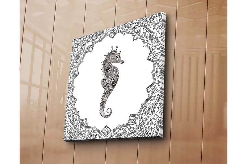 Canvastavla 45x45 cm - Havsdrake i detaljerad svart och vit stil, Svart / Vit