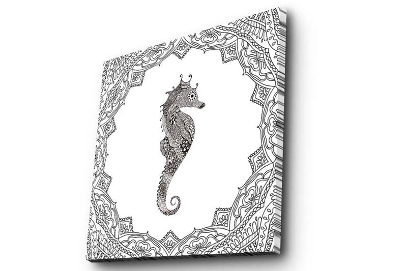 Canvastavla 45x45 cm - Havsdrake i detaljerad svart och vit stil - Svart / Vit - Inredning - Tavlor & posters - Canvastavla