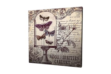 Canvastavla 45x45 cm - Insekter i en glaskupa med blommor och handskriven text i bakgrunden - Lila / Grå / Beige - Inredning - Tavlor & posters - Canvastavla