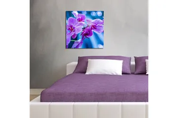 Canvastavla 45x45 cm - Lila orkidéer i blomstring - Lila / Blå - Inredning - Tavlor & posters - Canvastavla