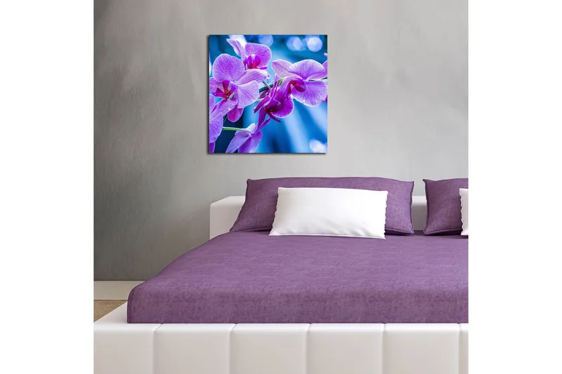 Canvastavla 45x45 cm - Lila orkidéer i blomstring - Lila / Blå - Inredning - Tavlor & posters - Canvastavla