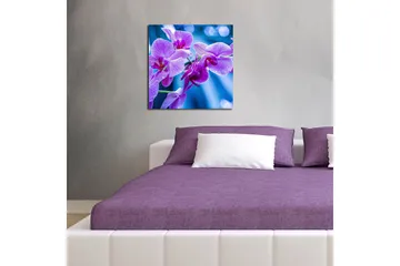 Canvastavla 45x45 cm - Lila orkidéer i blomstring - Lila / Blå - Inredning - Tavlor & posters - Canvastavla