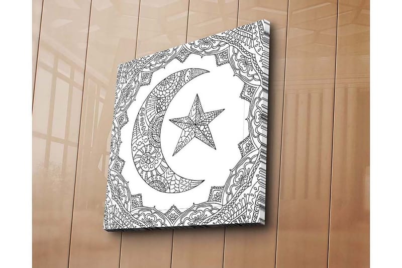 Canvastavla 45x45 cm - Mönstrad halvmåne och stjärna i en dekorativ ram - Svart / Vitt - Inredning - Tavlor & posters - Canvastavla