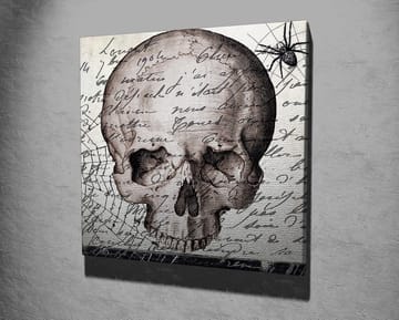Canvastavla 45x45 cm - Mörk skalle med handskriven text och spindelmotiv - Grå / Svart / Beige - Inredning - Tavlor & posters - Canvastavla