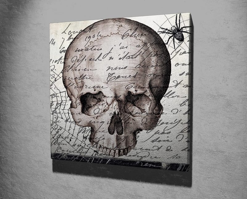 Canvastavla 45x45 cm - Mörk skalle med handskriven text och spindelmotiv - Grå / Svart / Beige - Inredning - Tavlor & posters - Canvastavla
