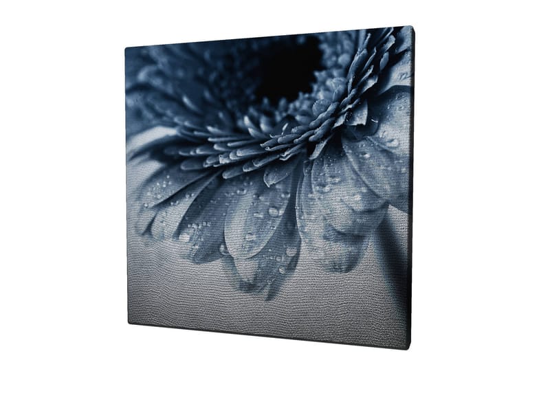 Canvastavla 45x45 cm - Närbild av en blomma med vattendroppar på kronbladen - Blå / Grå - Inredning - Tavlor & posters - Canvastavla