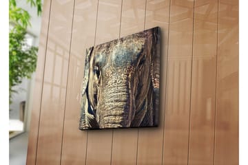 Canvastavla 45x45 cm - Närbild av en elefants ansikte med detaljerad textur - Grå / Brun / Beige - Inredning - Tavlor & posters - Canvastavla
