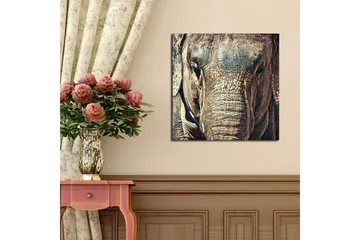 Canvastavla 45x45 cm - Närbild av en elefants ansikte med detaljerad textur - Grå / Brun / Beige - Inredning - Tavlor & posters - Canvastavla