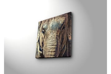 Canvastavla 45x45 cm - Närbild av en elefants ansikte med detaljerad textur - Grå / Brun / Beige - Inredning - Tavlor & posters - Canvastavla