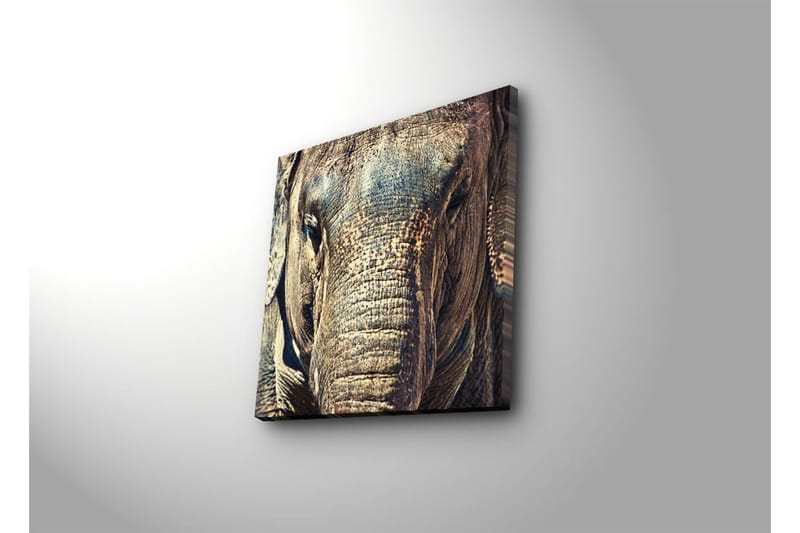 Canvastavla 45x45 cm - Närbild av en elefants ansikte med detaljerad textur - Grå / Brun / Beige - Inredning - Tavlor & posters - Canvastavla