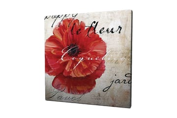Canvastavla 45x45 cm - Röd vallmo med handskriven text i bakgrunden - Röd / Beige / Svart - Inredning - Tavlor & posters - Canvastavla
