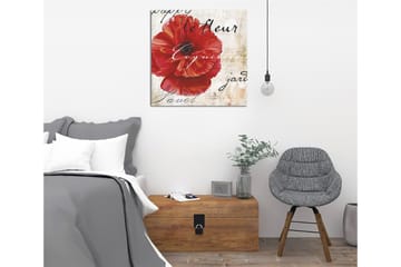 Canvastavla 45x45 cm - Röd vallmo med handskriven text i bakgrunden - Röd / Beige / Svart - Inredning - Tavlor & posters - Canvastavla