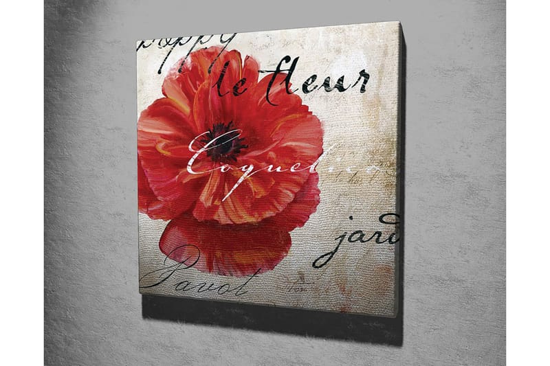 Canvastavla 45x45 cm - Röd vallmo med handskriven text i bakgrunden - Röd / Beige / Svart - Inredning - Tavlor & posters - Canvastavla