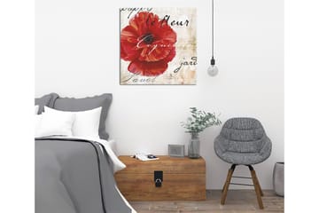Canvastavla 45x45 cm - Röd vallmo med handskriven text i bakgrunden - Röd / Beige / Svart - Inredning - Tavlor & posters - Canvastavla