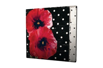 Canvastavla 45x45 cm - Röda blommor mot en svart bakgrund med vita prickar - Röd / Svart / Vit - Inredning - Tavlor & posters - Canvastavla