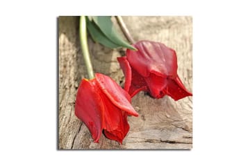Canvastavla 45x45 cm - Röda tulpaner på en träyta - Röd / Grön - Inredning - Tavlor & posters - Canvastavla
