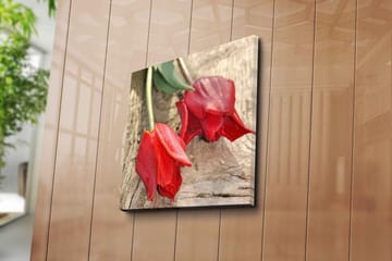 Canvastavla 45x45 cm - Röda tulpaner på en träyta - Röd / Grön - Inredning - Tavlor & posters - Canvastavla