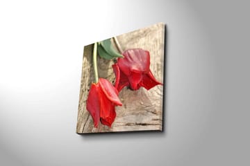 Canvastavla 45x45 cm - Röda tulpaner på en träyta - Röd / Grön - Inredning - Tavlor & posters - Canvastavla