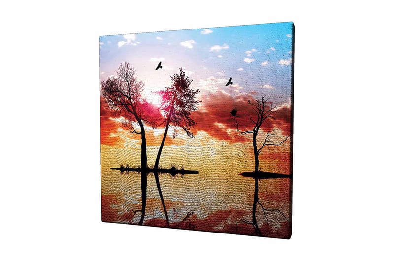 Canvastavla 45x45 cm - Silhuetter av träd vid en solnedgång med reflektioner i vattnet, Orange / Rosa / Blå