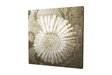 Canvastavla 45x45 cm - Snäcka med detaljerad struktur på en mjuk bakgrund - Vit / Beige / Grå - Inredning - Tavlor & posters - Canvastavla