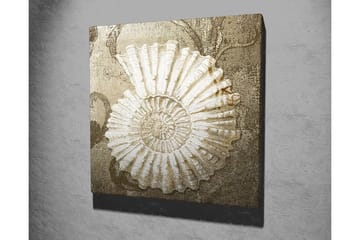 Canvastavla 45x45 cm - Snäcka med detaljerad struktur på en mjuk bakgrund - Vit / Beige / Grå - Inredning - Tavlor & posters - Canvastavla