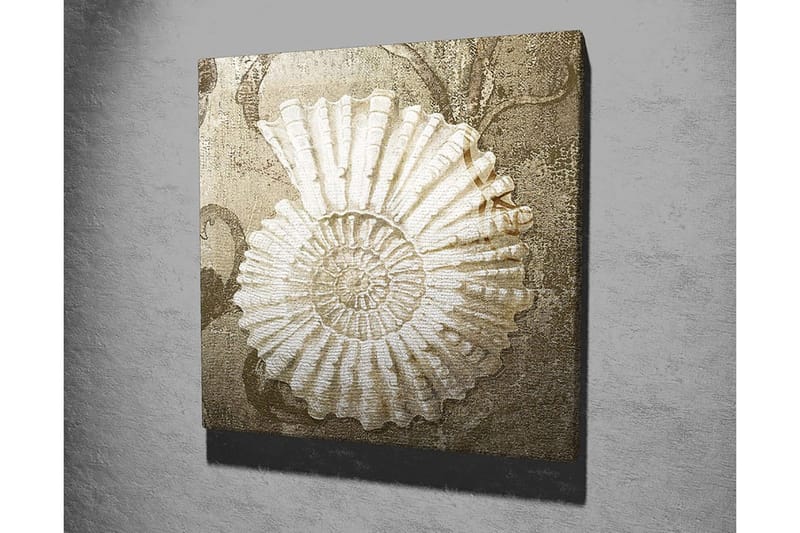 Canvastavla 45x45 cm - Snäcka med detaljerad struktur på en mjuk bakgrund - Vit / Beige / Grå - Inredning - Tavlor & posters - Canvastavla