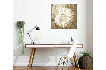 Canvastavla 45x45 cm - Snäcka med detaljerad struktur på en mjuk bakgrund - Vit / Beige / Grå - Inredning - Tavlor & posters - Canvastavla