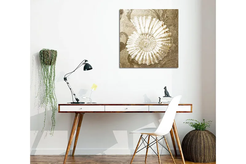 Canvastavla 45x45 cm - Snäcka med detaljerad struktur på en mjuk bakgrund - Vit / Beige / Grå - Inredning - Tavlor & posters - Canvastavla