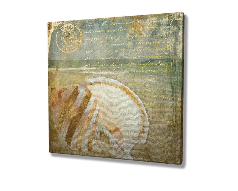 Canvastavla 45x45 cm - Snäcka med subtila detaljer och texturer - Beige / Blå / Grön - Inredning - Tavlor & posters - Canvastavla