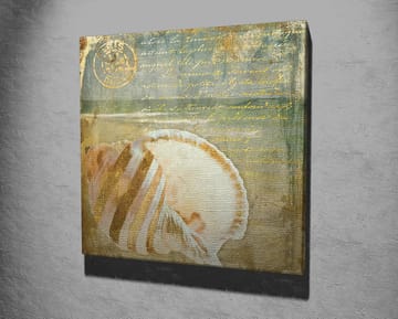 Canvastavla 45x45 cm - Snäcka med subtila detaljer och texturer - Beige / Blå / Grön - Inredning - Tavlor & posters - Canvastavla