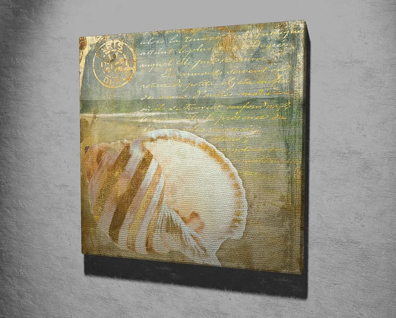 Canvastavla 45x45 cm - Snäcka med subtila detaljer och texturer - Beige / Blå / Grön - Inredning - Tavlor & posters - Canvastavla