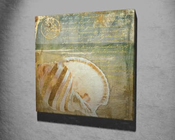 Canvastavla 45x45 cm - Snäcka med subtila detaljer och texturer - Beige / Blå / Grön - Inredning - Tavlor & posters - Canvastavla