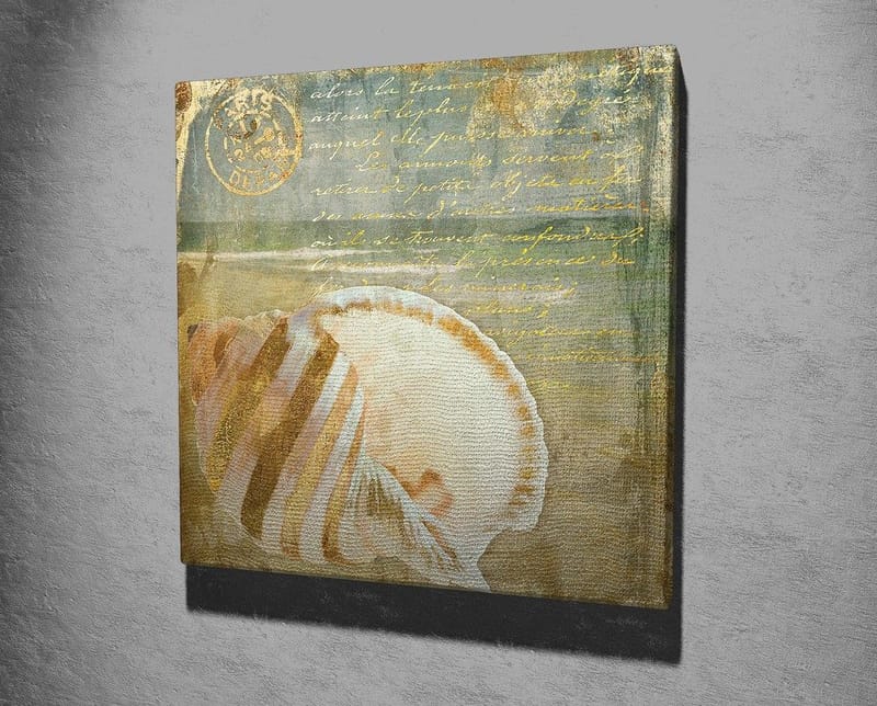 Canvastavla 45x45 cm - Snäcka med subtila detaljer och texturer - Beige / Blå / Grön - Inredning - Tavlor & posters - Canvastavla