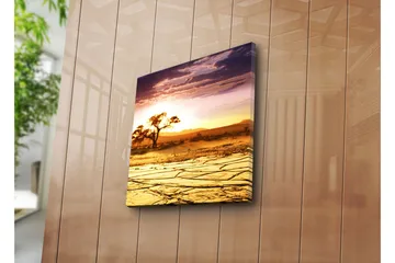 Canvastavla 45x45 cm - Solnedgång över en ökenlandskap med ett ensamt träd - Guld / Orange / Lila - Inredning - Tavlor & posters - Canvastavla