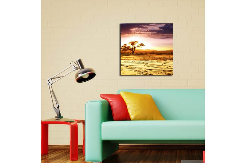 Canvastavla 45x45 cm - Solnedgång över en ökenlandskap med ett ensamt träd - Guld / Orange / Lila - Inredning - Tavlor & posters - Canvastavla