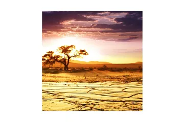 Canvastavla 45x45 cm - Solnedgång över en ökenlandskap med ett ensamt träd - Guld / Orange / Lila - Inredning - Tavlor & posters - Canvastavla