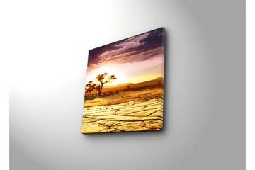Canvastavla 45x45 cm - Solnedgång över en ökenlandskap med ett ensamt träd - Guld / Orange / Lila - Inredning - Tavlor & posters - Canvastavla