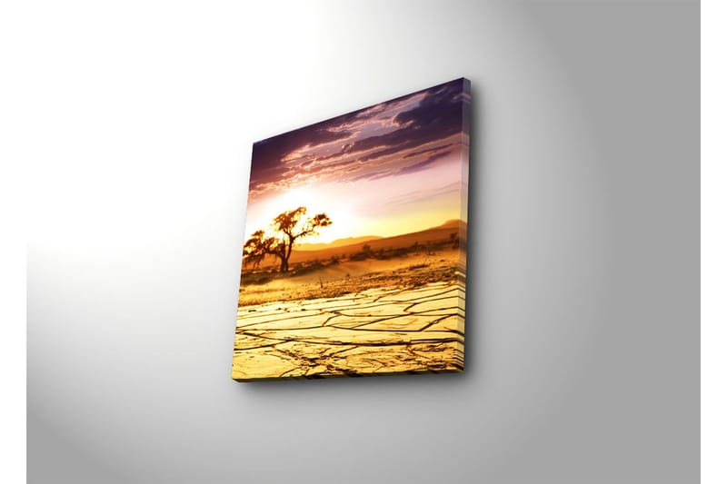 Canvastavla 45x45 cm - Solnedgång över en ökenlandskap med ett ensamt träd - Guld / Orange / Lila - Inredning - Tavlor & posters - Canvastavla