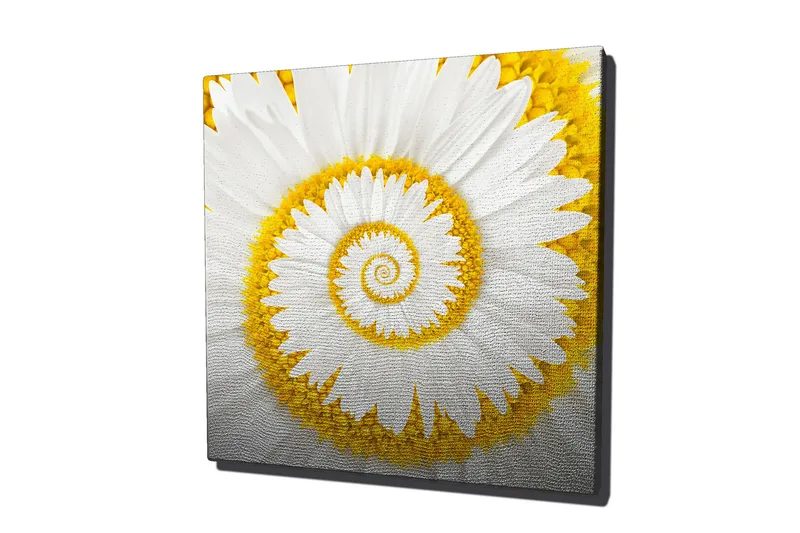 Canvastavla 45x45 cm - Spiralformad blomma med vita kronblad och gula detaljer - Vit / Gul - Inredning - Tavlor & posters - Canvastavla