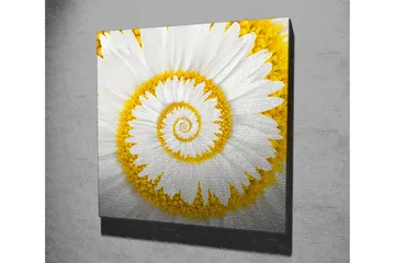 Canvastavla 45x45 cm - Spiralformad blomma med vita kronblad och gula detaljer - Vit / Gul - Inredning - Tavlor & posters - Canvastavla