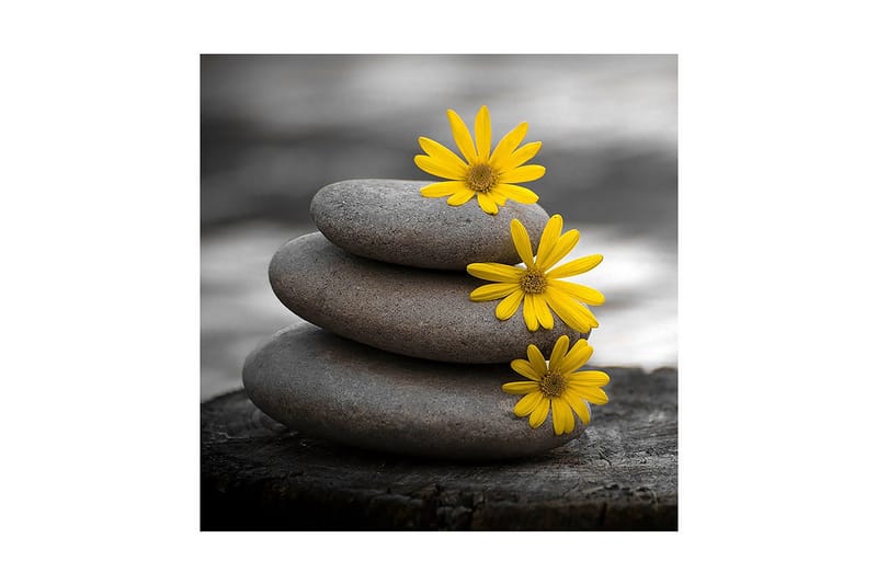 Canvastavla 45x45 cm - Stapel av grå stenar med gula blommor - Grå / Gul - Inredning - Tavlor & posters - Canvastavla