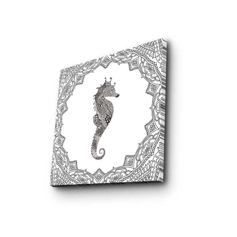 Canvastavla 45x45 cm - Stilig sjöhäst i detaljrik ram, Svart / Vitt