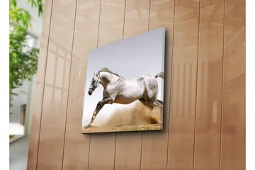 Canvastavla 45x45 cm - Stolt häst i full galopp - Grå / Vit / Beige - Inredning - Tavlor & posters - Canvastavla