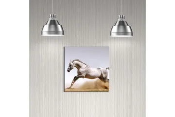 Canvastavla 45x45 cm - Stolt häst i full galopp - Grå / Vit / Beige - Inredning - Tavlor & posters - Canvastavla