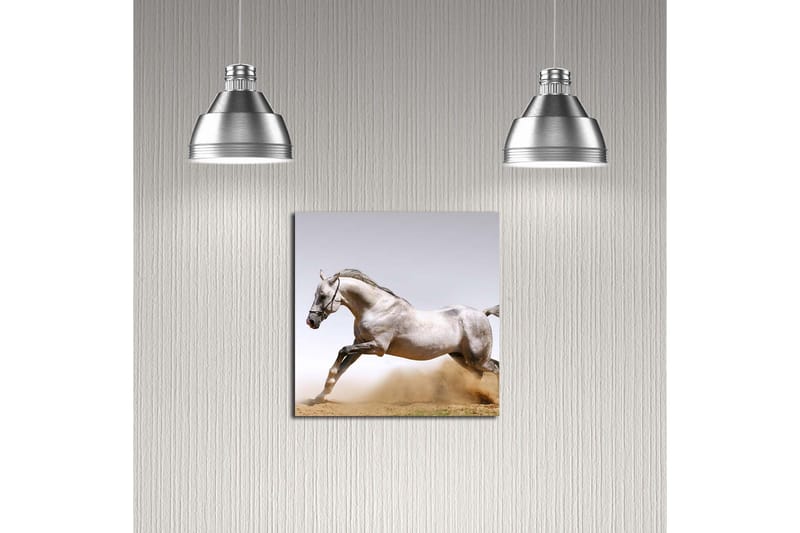 Canvastavla 45x45 cm - Stolt häst i full galopp - Grå / Vit / Beige - Inredning - Tavlor & posters - Canvastavla