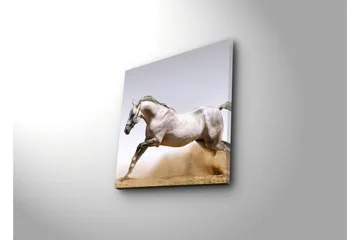 Canvastavla 45x45 cm - Stolt häst i full galopp - Grå / Vit / Beige - Inredning - Tavlor & posters - Canvastavla