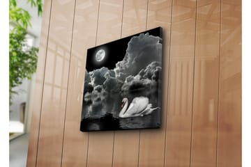 Canvastavla 45x45 cm - Svart och vit svan simmande under en fullmåne i en dramatisk molnig himmel - Vit / Svart / Grå - Inredning - Tavlor & posters - Canvastavla